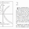 la mente sus proyecciones 2