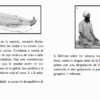 transformacion vol 2 3