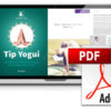 PDF